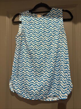 Ann Taylor Blue and White Zigzag Top